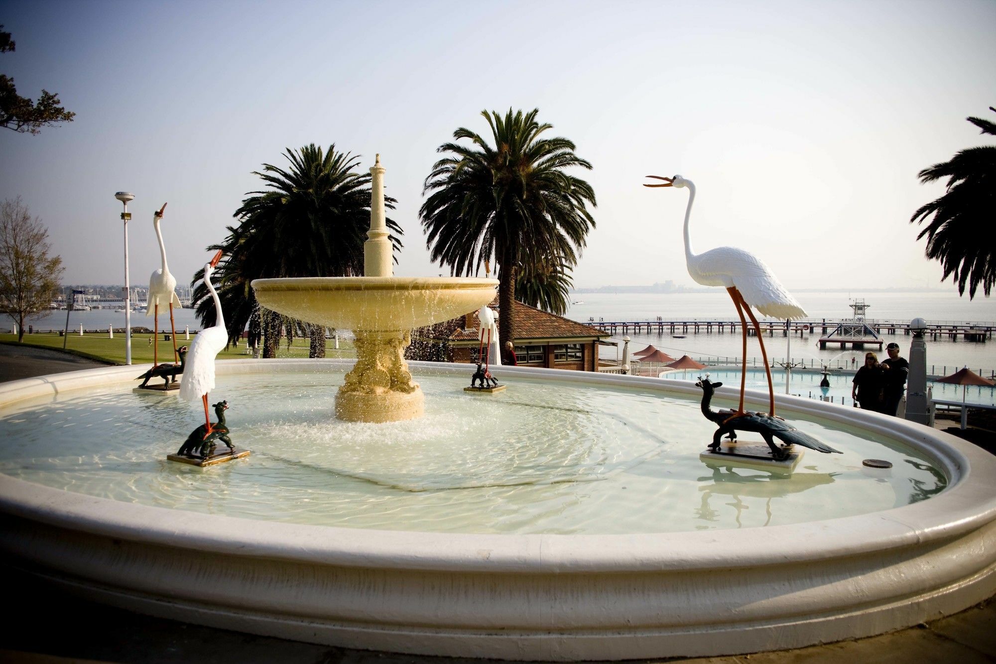 Hotel Rydges Geelong Exteriér fotografie